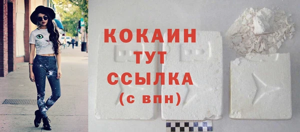 твердый Касимов