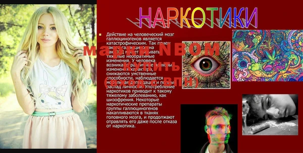 ГАЛЛЮЦИНОГЕННЫЕ ГРИБЫ Алексин
