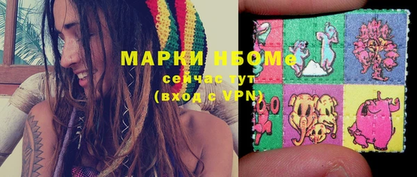 ГАЛЛЮЦИНОГЕННЫЕ ГРИБЫ Алексин
