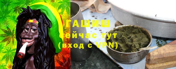 mix Ельня