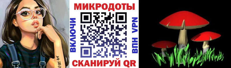 где найти   Тырныауз  Галлюциногенные грибы ЛСД 
